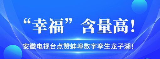 ?“幸?！焙扛撸不针娨暸_點贊蚌埠數(shù)字孿生龍子湖！